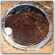 Aerobic Septic Systems